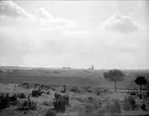 Uppsala från Sala backe, med odlingslandskapet väster om staden, maj 1917