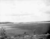 Garnsviken, norr om Sigtuna, Uppland augusti 1930