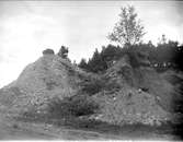 Skadad grusås i Enköping, Uppland september 1921