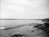 Havskust i Öregrund, Uppland i augusti 1923
