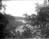 Timmer i Dalälven, Dalarna i juni 1915