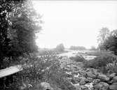 Tämnarån i Västlands socken, Uppland juli 1921