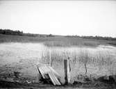 Sannolikt Bruksdammen, Forsmarks socken, Uppland juli 1921