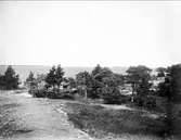 Havskust, Vätö socken, Uppland 1904