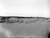 Strand vid Sandhamn, Stockholms skärgård 1927