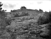 Knösen, berghäll i Lunda, Danmarks socken, Uppland september 1928