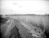 Kyrkviken, Lidingö, Uppland 1922