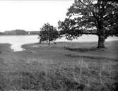 Garnsviken vid Venngarn, Sigtuna, Uppland i oktober 1927