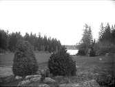 Åkermark invid sjön Trehörningen, Funbo socken, Uppland juni 1923