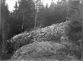Fornborgen Borgberget, Billerstena, Altuna socken, Uppland 1914