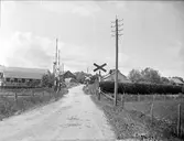 Väg i Gästre, Frösthults socken, Uppland juli 1933