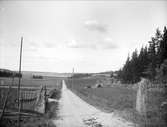 Kulturlandskap nära Alsta sjö, Fröslunda socken, Uppland 1916