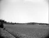 Landskapsvy vid Filke gård, Filke, Hagby socken, Uppland maj 1918