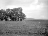 Strandäng, Vreta, Uppsala-Näs socken, Uppland 1924