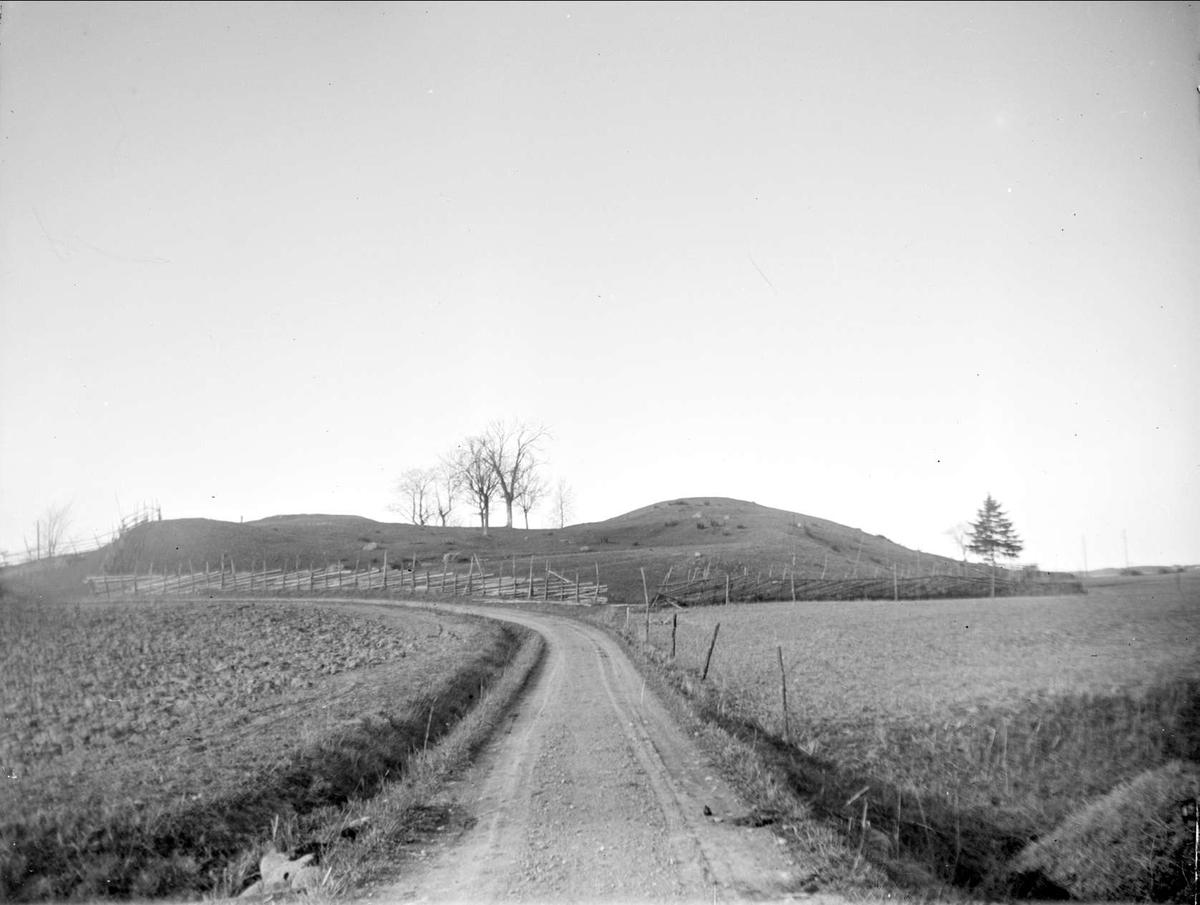 August Fredrik Schagerström, Selected Gravefields, Old Uppsala 1931