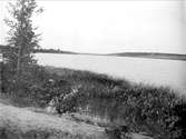 Alsta sjö vid Taxnäs, Fröslunda socken, Uppland september 1931