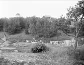 Landskapsvy nära Norrtälje, Uppland 1927. I fonden syns Norrtäljes vattentorn