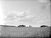 Hummelgårdsdsbacken och Trumsbacken, Simtuna socken, Uppland juli 1933