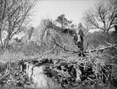 Man vid Klintaberget, Börje socken, Uppland april 1934