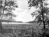 Lötsjön vid Länna, Almunge socken, Uppland juni 1934