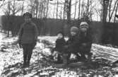 Fyra barn utomhus vid en skogsväg där tre sitter på en kälke och en pojke står bredvid. Märken täcks av ett mycket tunnt snölager.