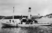 Bogserbåten ELLEN, sedermera BJÖRN III