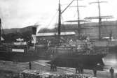 Skeppning av tunnor till Yarmanth med s/s AVENA 1902