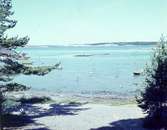 Enligt AB Flygtrafik Bengtsfors: 