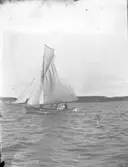 Enl. text i blå bok: 