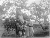 Enl. text i blå bok: 