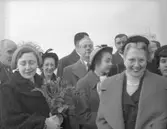 Dop av fartyg 113 M/T Islas Georgias.