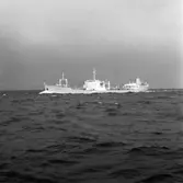 Fartyg 165 M/T Margareta.