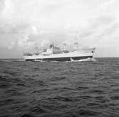M/S Augvald DWT.12.600
Rederi Skips A/S Corona, Haugesund Norge
Kölsträckning 58-03-24 Nr. 172
Leverans 58-10-09
Lastfartyg