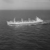 M/S Ronacastle DWT. 18.160
Rederi Skibs A/S Agnes, Mandal
Kölsträckning 62-02.26 Nr. 256
Leverans 62-10-24
Bulkfartyg