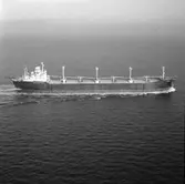 B/C Gausdal DWT. 30.780
Rederi Boe & Pedersen, Oslo Norge
Kölsträckning 65-01-25 Nr. 270
Leverans 65-11-16
Bulkfartyg