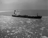 M/T Okturus D.W.T. 23.050
Rederi AB Oktetten, Stockholm
Kölsträckning 85-06-03 Nr. 333
Leverans 86-04-04
Tankfartyg