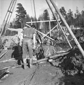 Skogslyckan, avloppsbrunn.