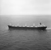 Fartyg nr. 273 B/C Kollgeir, bulklastfartyg.