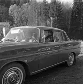 Korpens familjerally.