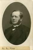 Disponent Robert Wilhelm  Bley (1826 - 1897)