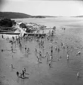 Enligt fotografens notering: 