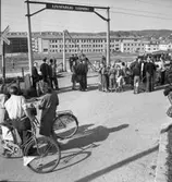 Bilolycka i Uddevalla i maj 1948