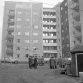 Nya hus på Bohusgården 1956