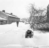 Nersprängt träd på I17, regementet i Uddevalla i febuari 1958