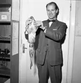 Bläckfisk visas upp på Bohusläningens redaktion