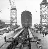 Dop av M/S Tamerlane