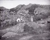 3 vyer från Elgön, 29/6 1895.