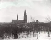 Uppsala domkyrka och Helga trefaldighets kyrka