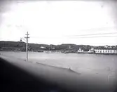 Koön, tagit ifrån balkongen den 10 Juni 1922 samt i sept. 1922. 3 st. + 2 st. Kopierade.