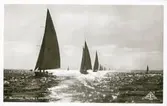 Regatta på Marstrandsfjorden